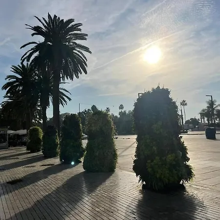Greenhouse, Casco Historico De Málaga